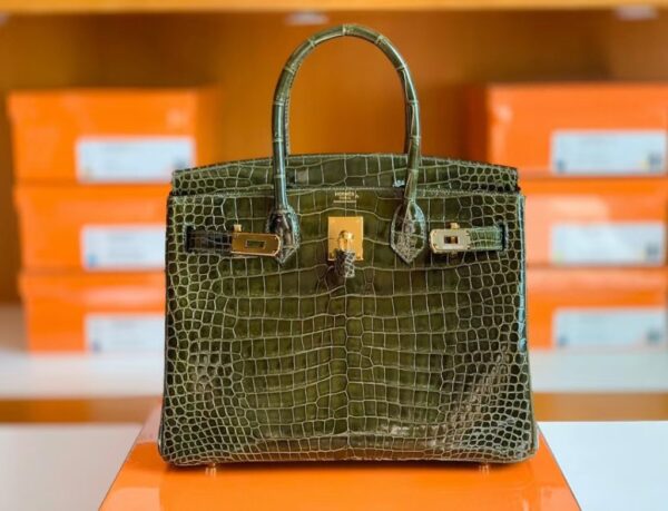 mmexport1672913013983-1024x783-1 Hermes Birkin wild Porosus Shiny 6h Olive green Gold Hardware 30cm Full Handmade