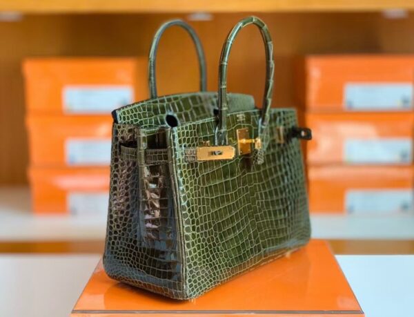 mmexport1672913015553-1024x783-1 Hermes Birkin wild Porosus Shiny 6h Olive green Gold Hardware 30cm Full Handmade