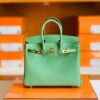 Hermes Birkin Togo Avocado green Gold Hardware 25cm Full Handmade