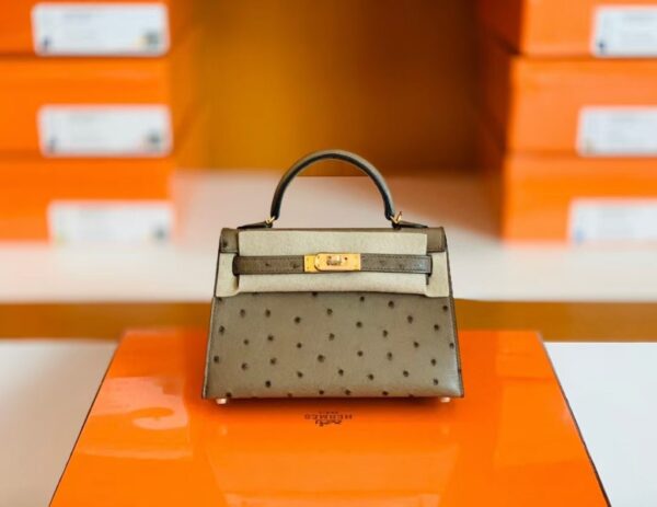 mmexport1673338852039-1024x791-1 Hermes Mini Kelly Ostrich etoupe grey Gold Hardware 19cm Full Handmade