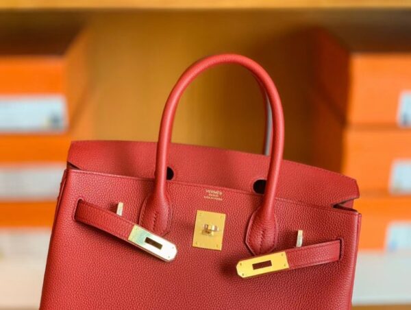 mmexport1673343596917-1024x772-1 Hermes Birkin Togo D5 Coral red Gold Hardware 30cm Full Handmade