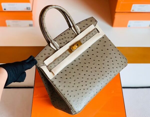 mmexport1673775076662-1024x800-1 Hermes Birkin Ostrich etoupe grey Gold Hardware 30cm Full Handmade