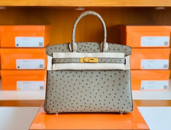 mmexport1673775077992-1024x781-1 Hermes Birkin Ostrich etoupe grey Gold Hardware 30cm Full Handmade