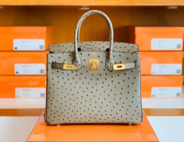 mmexport1673775080772-1024x791-1 Hermes Birkin Ostrich etoupe grey Gold Hardware 30cm Full Handmade