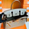 Hermes Birkin Ostrich etoupe grey Gold Hardware 30cm Full Handmade