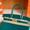 Hermes Birkin Ostrich u4 Velvet green Gold Hardware 30cm Full Handmade