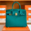 Hermes Birkin Ostrich u4 Velvet green Gold Hardware 30cm Full Handmade