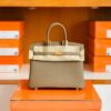 mmexport1675759238070-1024x785-1 Hermes Birkin Togo 18 etoupe Gold Hardware 25cm Full Handmade
