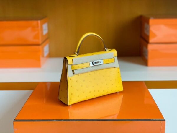 mmexport1679966269020-1024x768-1 Hermes Mini Kelly Ostrich Leather Lemon yellow Silver Hardware 19cm Full Handmade