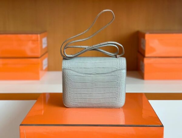 mmexport1679967335306-1024x777-1 Hermes Constance Matte Alligator crocodile Pearl grey Silver Hardware 18cm Full Handmade