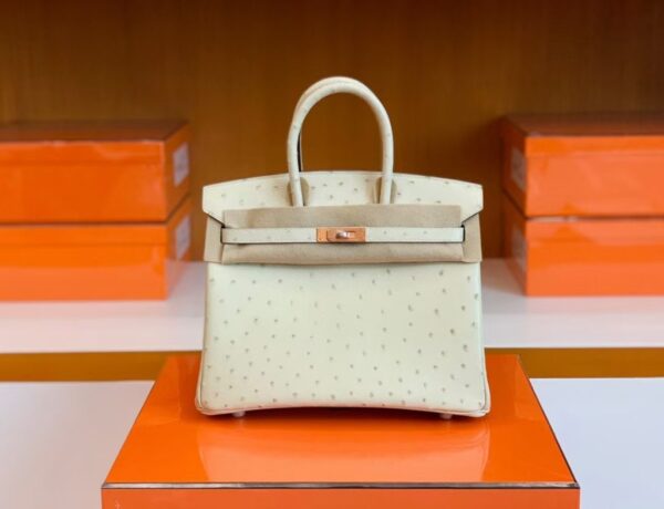 mmexport1688808577970-1024x785-1 Hermes Birkin Ostrich 3C Wool white Rose Gold Hardware 25cm Full Handmade