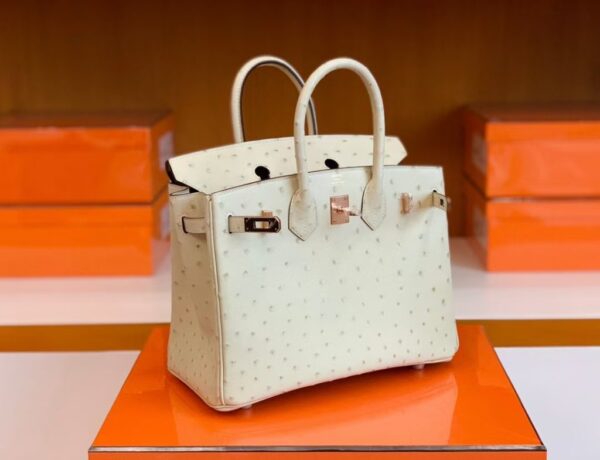 mmexport1688808583277-1024x785-1 Hermes Birkin Ostrich 3C Wool white Rose Gold Hardware 25cm Full Handmade