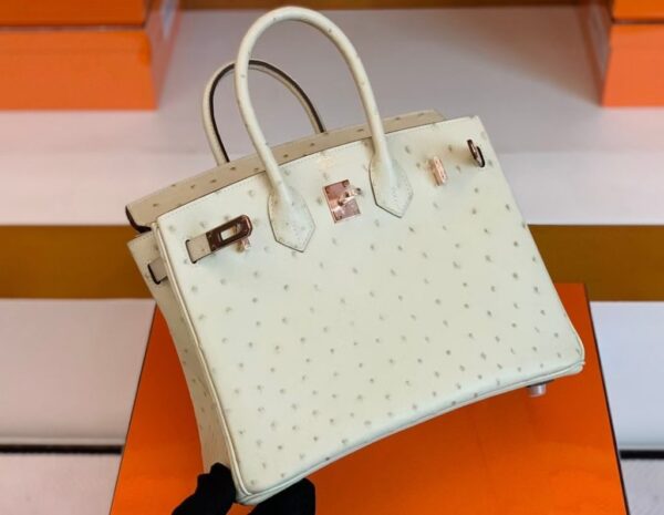 mmexport1688808585905-1024x793-1 Hermes Birkin Ostrich 3C Wool white Rose Gold Hardware 25cm Full Handmade