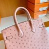 mmexport1690709701935-1024x768-1 Hermes Birkin Ostrich CK94 Pink Silver Hardware 25cm Full Handmade