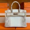 Hermès Birkin Matte crocodile ck10 Himalaya Silver Hardware 30cm Full Handmade