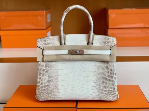 Hermès Birkin Matte crocodile ck10 Himalaya Silver Hardware 30cm Full Handmade
