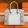 Hermès Birkin Matte crocodile ck10 Himalaya Silver Hardware 30cm Full Handmade
