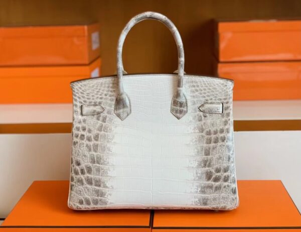 mmexport1692180689531-1024x789-1 Hermès Birkin Matte crocodile ck10 Himalaya Silver Hardware 30cm Full Handmade