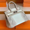 Hermès Birkin Matte crocodile ck10 Himalaya Silver Hardware 30cm Full Handmade