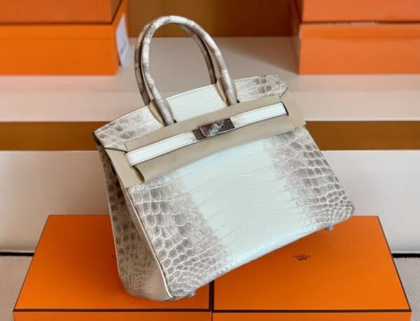 mmexport1692180691918-1024x784-1 Hermès Birkin Matte crocodile ck10 Himalaya Silver Hardware 30cm Full Handmade