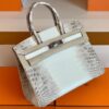 Hermès Birkin Matte crocodile ck10 Himalaya Silver Hardware 30cm Full Handmade