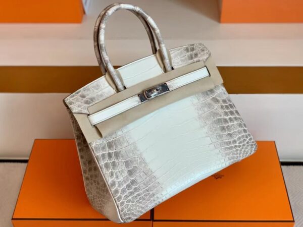 mmexport1692180693429-1024x768-1 Hermès Birkin Matte crocodile ck10 Himalaya Silver Hardware 30cm Full Handmade