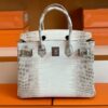 Hermès Birkin Matte crocodile ck10 Himalaya Silver Hardware 30cm Full Handmade