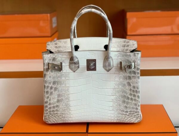 mmexport1692180696415-1024x782-1 Hermès Birkin Matte crocodile ck10 Himalaya Silver Hardware 30cm Full Handmade
