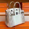 Hermès Birkin Matte crocodile ck10 Himalaya Silver Hardware 30cm Full Handmade