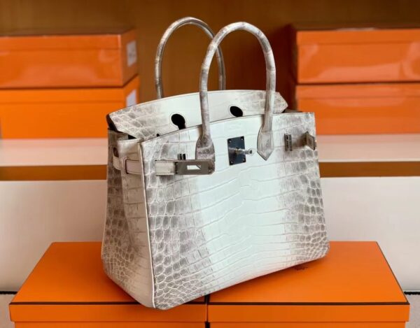 mmexport1692180698153-1024x801-1 Hermès Birkin Matte crocodile ck10 Himalaya Silver Hardware 30cm Full Handmade