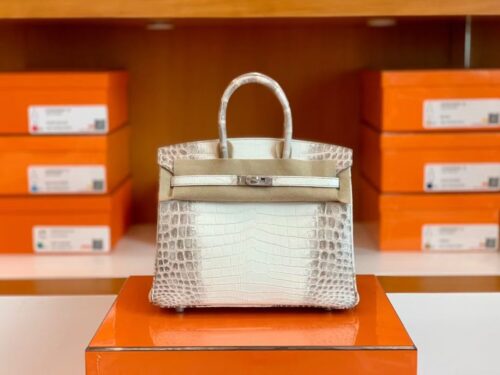 Hermès Birkin Matte Niloticus crocodile 01 himalaya Silver Hardware 25cm Full Handmade