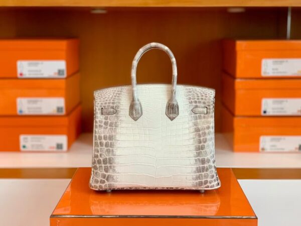 mmexport1699695149837-1024x768-1 Hermès Birkin Matte Niloticus crocodile 01 himalaya Silver Hardware 25cm Full Handmade