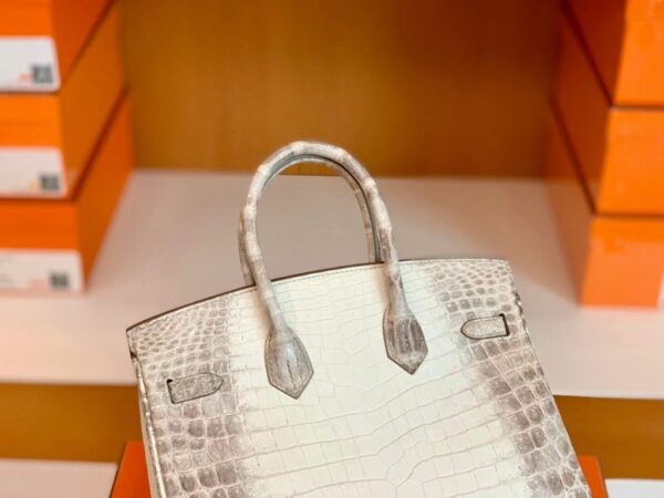 mmexport1699695155291-1024x768-1 Hermès Birkin Matte Niloticus crocodile 01 himalaya Silver Hardware 25cm Full Handmade