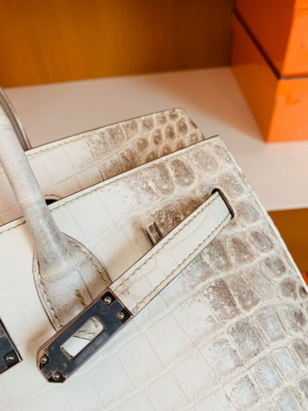 mmexport1699695156740-768x1024-1 Hermès Birkin Matte Niloticus crocodile 01 himalaya Silver Hardware 25cm Full Handmade