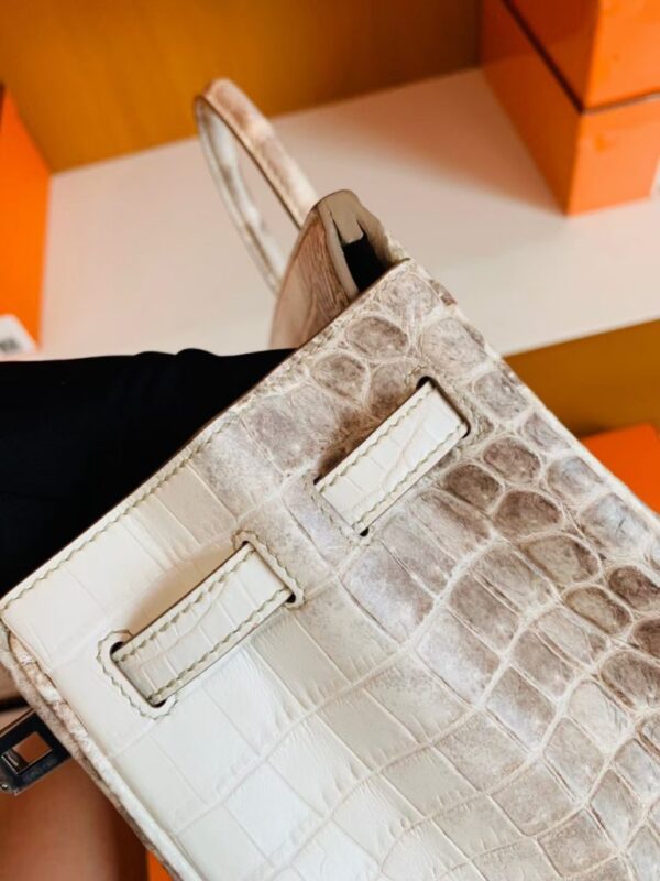 mmexport1699695158128-768x1024-1 Hermès Birkin Matte Niloticus crocodile 01 himalaya Silver Hardware 25cm Full Handmade