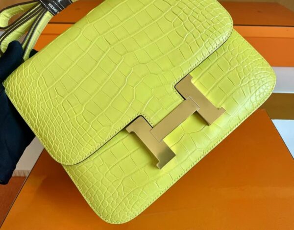mmexport1705116894363-1024x801-1 Hermès Cosntance Matte Alligator crocodile Yellow Gold Hardware 24cm Full Handmade