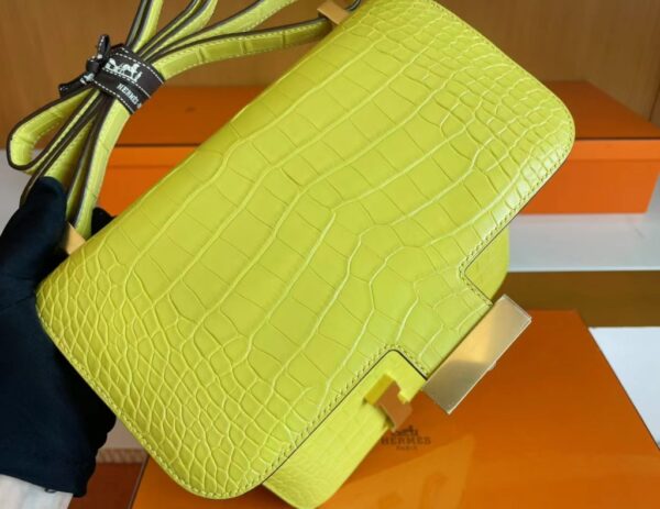 mmexport1705116900819-1024x791-1 Hermès Cosntance Matte Alligator crocodile Yellow Gold Hardware 24cm Full Handmade