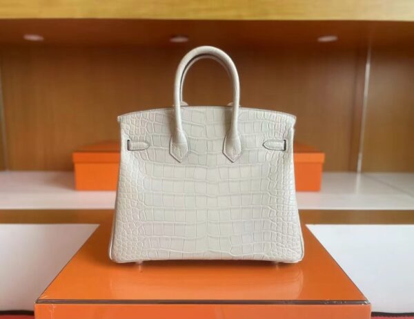 mmexport1718554752500-1024x788-1 H Factory Bags Birkin matte alligator crocodile 8L Ice White Gold Hardware 25cm Full Handmade