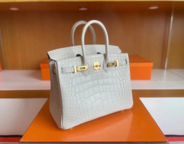 mmexport1718554760033-1024x801-1 H Factory Bags Birkin matte alligator crocodile 8L Ice White Gold Hardware 25cm Full Handmade