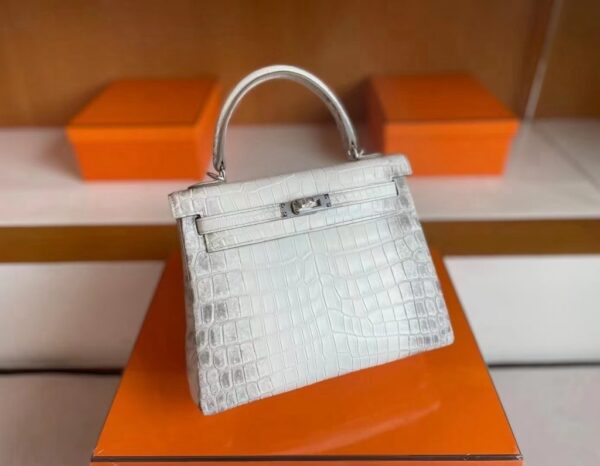 mmexport1739437397757-1024x796-1 H Factory Bags Kelly Matte Crocodile Himalaya Silver Hardware 25cm Full Handmade