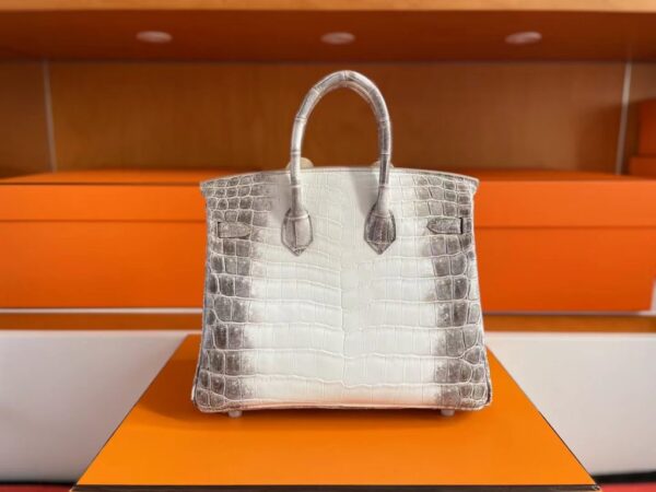 mmexport1741312137268-1024x768-1 H Factory Bags Birkin Matte Porosus Crocodile Himalaya Silver Hardware 25cm Full Handmade