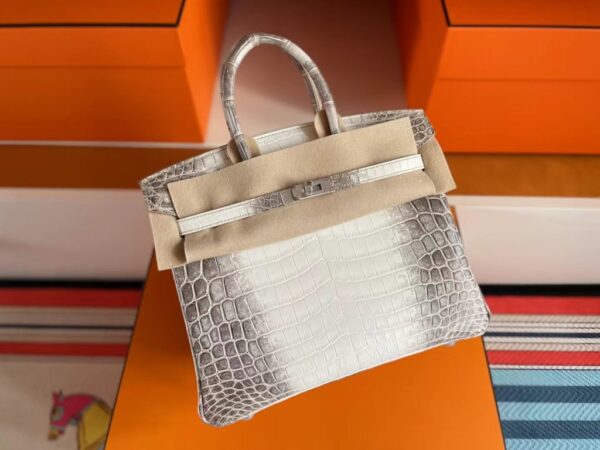 mmexport1741312138911-1024x768-1 H Factory Bags Birkin Matte Porosus Crocodile Himalaya Silver Hardware 25cm Full Handmade