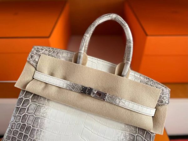 mmexport1741312142379-1024x768-1 H Factory Bags Birkin Matte Porosus Crocodile Himalaya Silver Hardware 25cm Full Handmade
