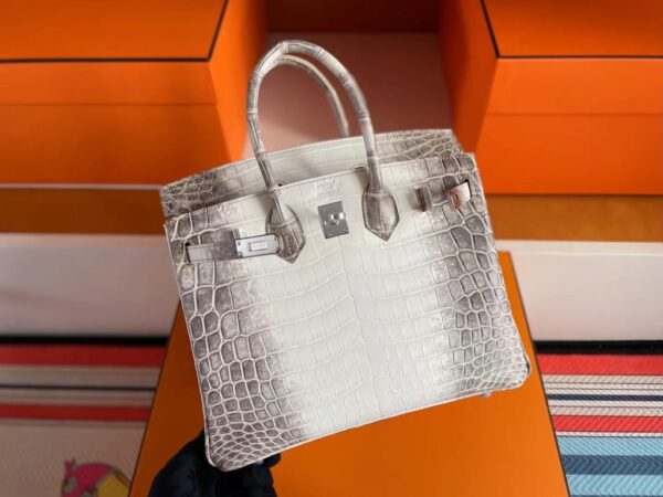 mmexport1741312145665-1024x768-1 H Factory Bags Birkin Matte Porosus Crocodile Himalaya Silver Hardware 25cm Full Handmade