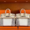 H Factory Bags Birkin Matte Porosus Crocodile Himalaya Silver Hardware 25cm Full Handmade