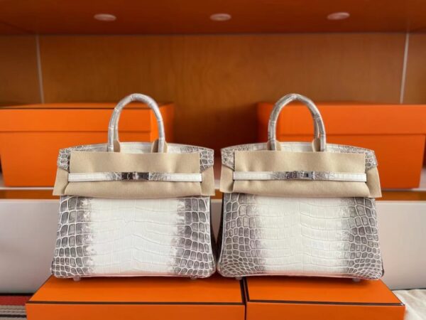 mmexport1741312173621-1024x768-1 H Factory Bags Birkin Matte Porosus Crocodile Himalaya Silver Hardware 25cm Full Handmade