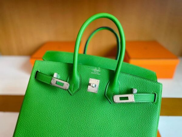 H Factory Bags Birkin Togo Leather A8 bright green Silver Hardware 25cm Full Handmade