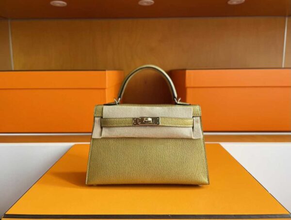 2025-10-31_095437_830-1024x774-1 H Factory Bags Mini Kelly Chever Leather Shiny Gold Light Gold Hardware 19cm Full Handmade