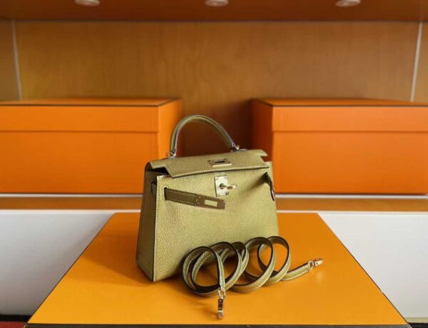 2025-10-31_095456_598-1024x783-1 H Factory Bags Mini Kelly Chever Leather Shiny Gold Light Gold Hardware 19cm Full Handmade