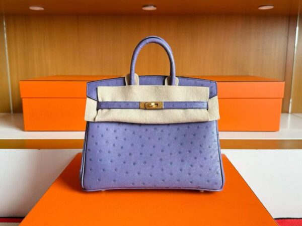 2025-11-11_100045_516-1024x768-1 H Factory Bags Birkin Ostrich Leather 9W New Lavender Purple Gold Hardware 25cm Full Handmade